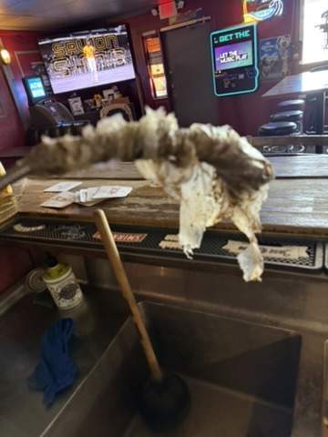 3C0EE0C9 ACBF 4A9C A598 C0E0E8B36CB3 4 5005 c