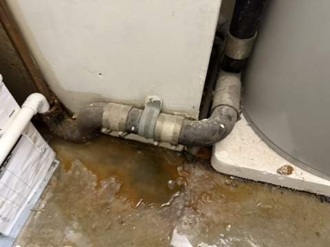 73A892ED FB22 4C37 8AD6 2E685CB52171 4 5005 c