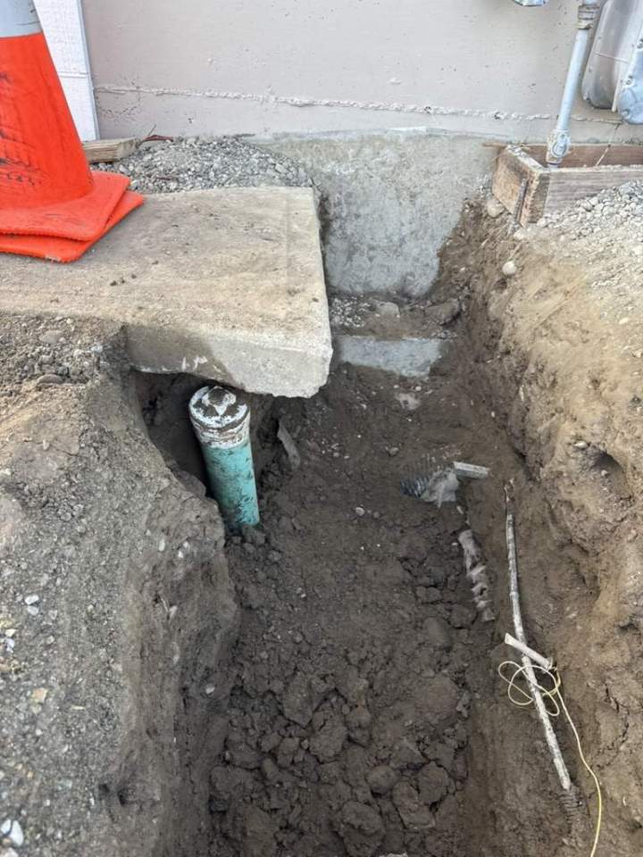 C9178FA7 3A34 4CE4 AD55 2EB4E4216C7F 1 105 c