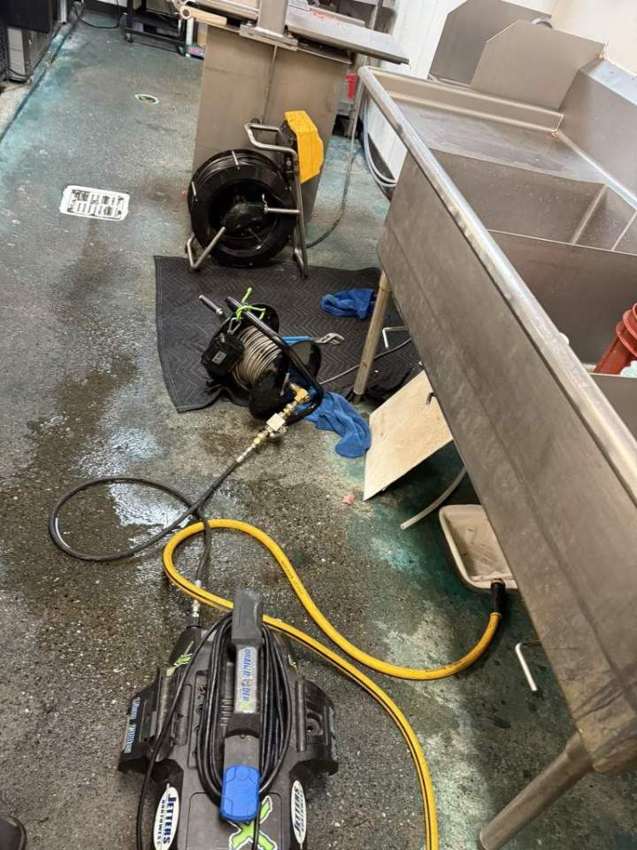 E320BD7D D5B5 41CF BD84 B726FEC2CB0F 1 105 c