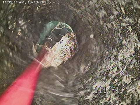 FF7BBBA0 6FC6 4272 B16A 8A6A909DD14E 4 5005 c